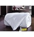 Всесезонное белое шелковое одеяло SL 172х205 см